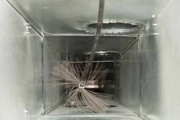 Best Air Duct Sanitizing Services  in Allendale, CA